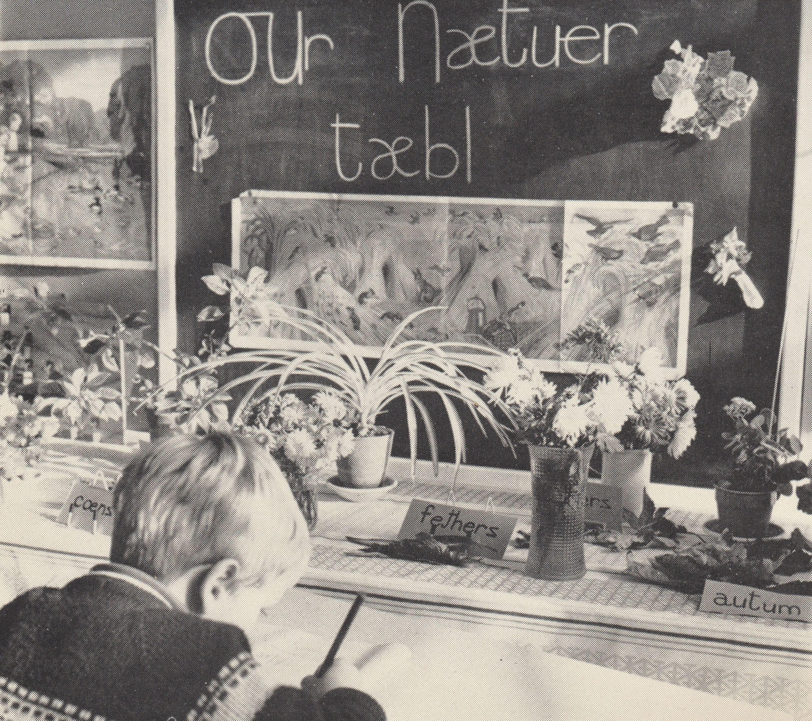 Nature Table provides ITA learning opportunity