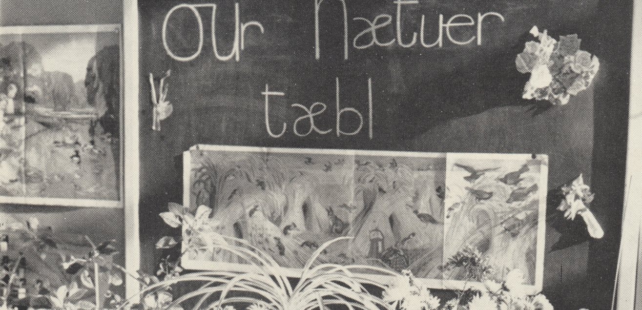 Nature Table provides ITA learning opportunity